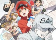 Sinopsis Hataraku Saibou: Kehidupan Sel yang Menarik