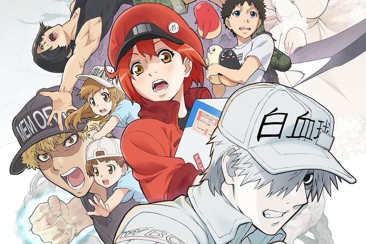 Sinopsis Hataraku Saibou