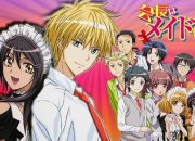 Sinopsis Kaichou wa Maid-sama!